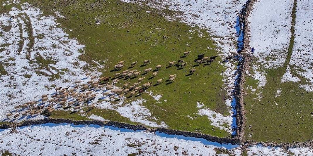 Yağışlar geldi, otlar yeşerdi, su kaynakları doldu: Besiciler yağış sevinci yaşıyor 1